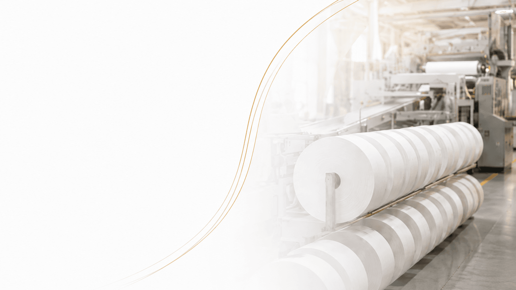Outlook for the Paper Market and Orient's Business Plans