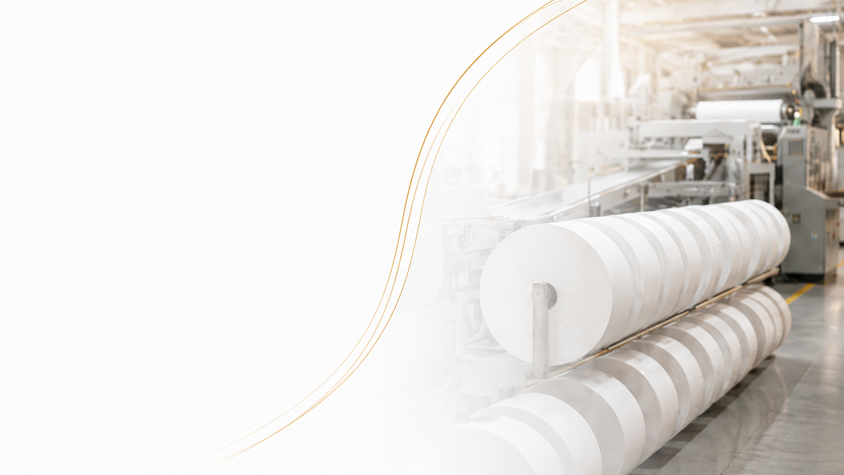 Outlook for the Paper Market and Orient's Business Plans
